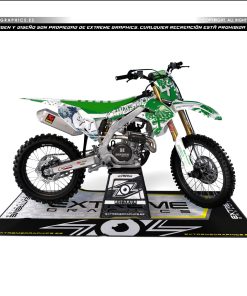 Adhesivos Moto Kawasaki | Tokyo Verde