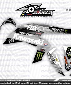 Adhesivos Quad Kawasaki KFX 450 Fast Gris