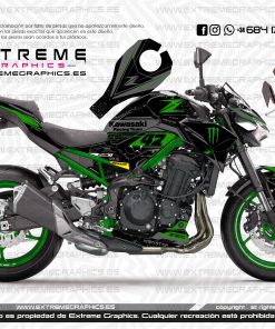 Adhesivos Moto Kawasaki Z 900 Race Verde