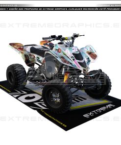 Adhesivos Quad Suzuki LTZ 400 GTA