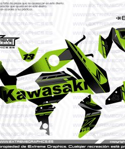 Adhesivos Moto Kawasaki Z750 Track Verde