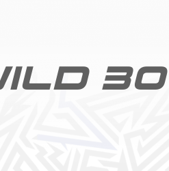 WILD 300