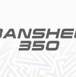 BANSHEE