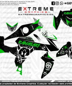 Adhesivos Moto Kawasaki Z750 Diablo Verde