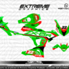 Adhesivos Kawasaki Ninja ZX-6R BigOne Verde 2