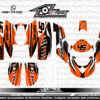Adhesivos Quad Can Am Bombardier DS 650 Racing Naranja